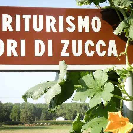 Fiori Di Zucca Bauernhof *