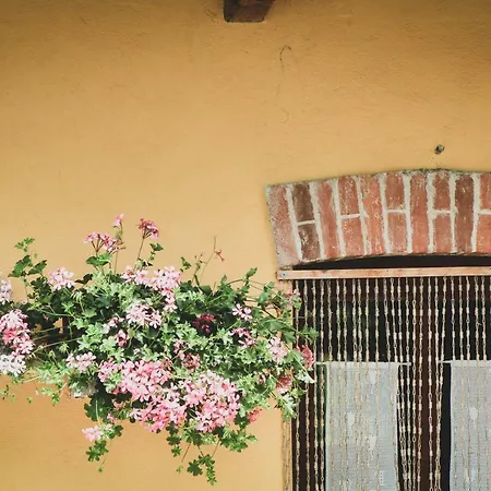 Bauernhof Fiori Di Zucca Fossano