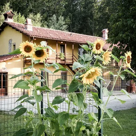 Fiori Di Zucca Bauernhof *