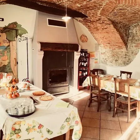 Fiori Di Zucca *